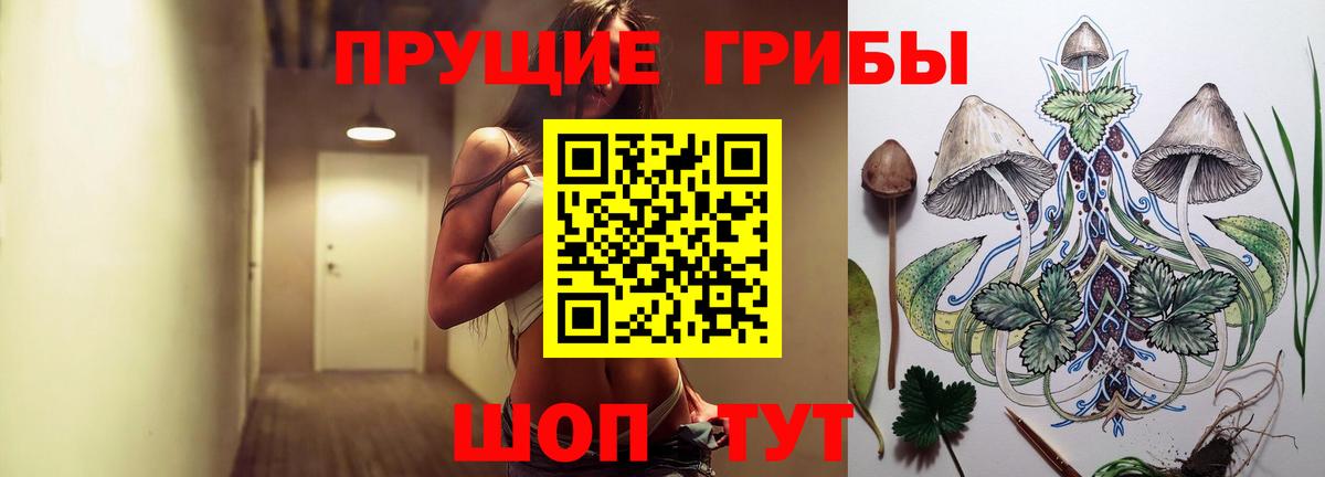 Белогорск  Псилоцибиновые грибы прущие грибы  Псилоцибиновые грибы ЛСД  Вход с VPN 